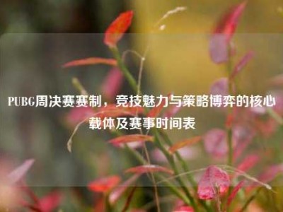 PUBG周决赛赛制，竞技魅力与策略博弈的核心载体及赛事时间表