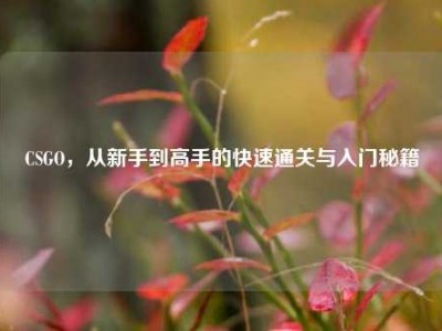 CSGO，从新手到高手的快速通关与入门秘籍