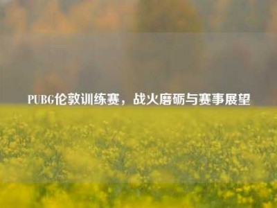 PUBG伦敦训练赛，战火磨砺与赛事展望