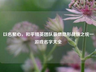 以名聚心，和平精英团队最燃隐形战旗之统一游戏名字大全
