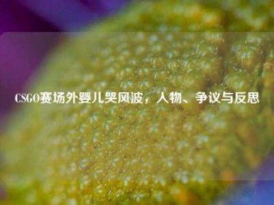 CSGO赛场外婴儿哭风波，人物、争议与反思