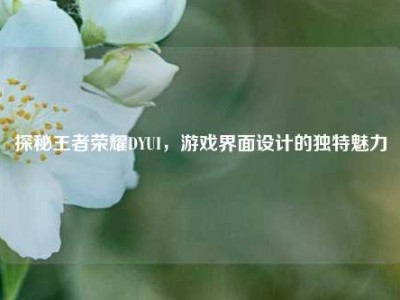 探秘王者荣耀DYUI，游戏界面设计的独特魅力