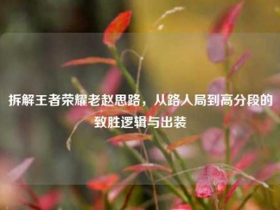 拆解王者荣耀老赵思路，从路人局到高分段的致胜逻辑与出装