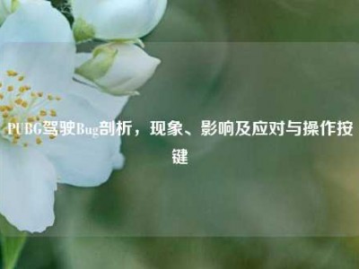 PUBG驾驶Bug剖析，现象、影响及应对与操作按键