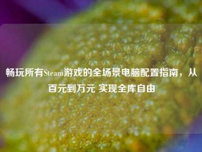 畅玩所有Steam游戏的全场景电脑配置指南，从百元到万元 实现全库自由