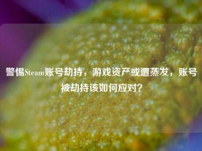 警惕Steam账号劫持，游戏资产或遭蒸发，账号被劫持该如何应对？