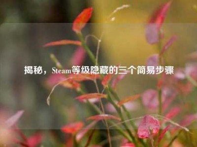 揭秘，Steam等级隐藏的三个简易步骤