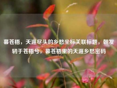 暮苍梧，天涯尽头的乡愁坐标关联标题，朝发轫于苍梧兮，暮苍梧里的天涯乡愁密码