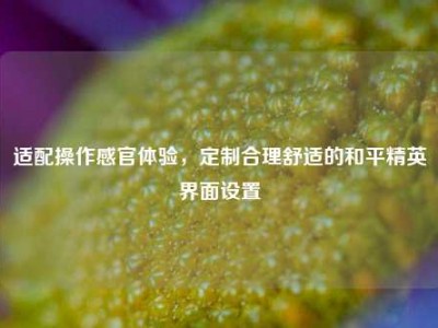 适配操作感官体验，定制合理舒适的和平精英界面设置