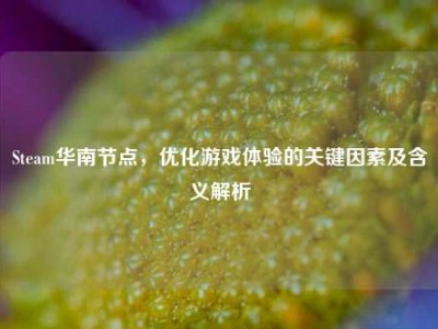 Steam华南节点，优化游戏体验的关键因素及含义解析