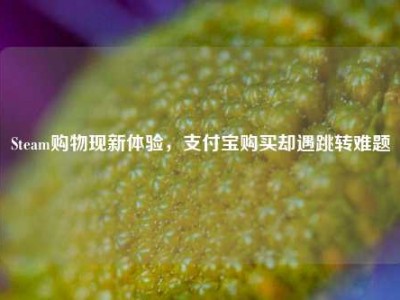 Steam购物现新体验，支付宝购买却遇跳转难题