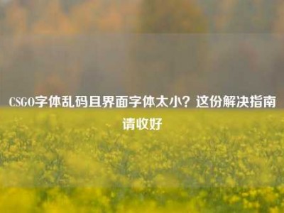 CSGO字体乱码且界面字体太小？这份解决指南请收好