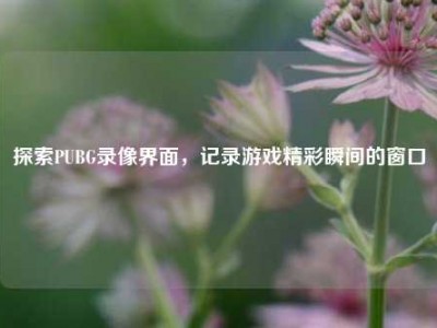 探索PUBG录像界面，记录游戏精彩瞬间的窗口