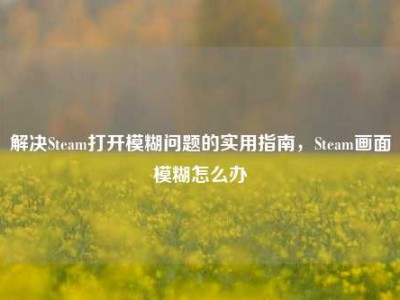 解决Steam打开模糊问题的实用指南，Steam画面模糊怎么办