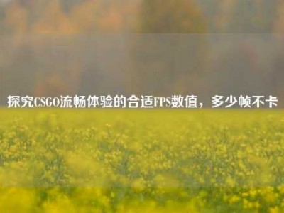 探究CSGO流畅体验的合适FPS数值，多少帧不卡