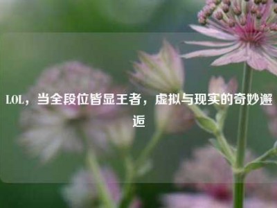 LOL，当全段位皆显王者，虚拟与现实的奇妙邂逅