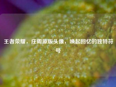 王者荣耀，庄周原版头像，唤起回忆的独特符号