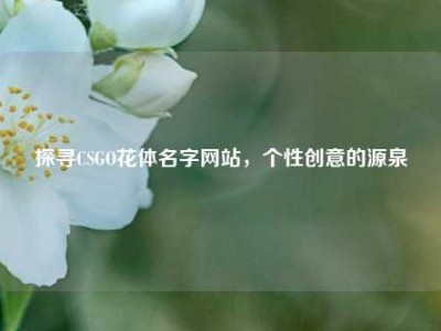 探寻CSGO花体名字网站，个性创意的源泉