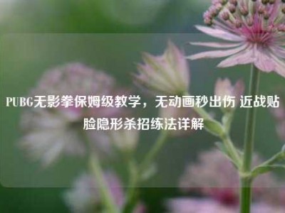 PUBG无影拳保姆级教学，无动画秒出伤 近战贴脸隐形杀招练法详解