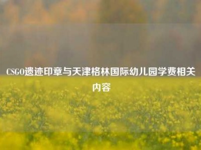 CSGO遗迹印章与天津格林国际幼儿园学费相关内容