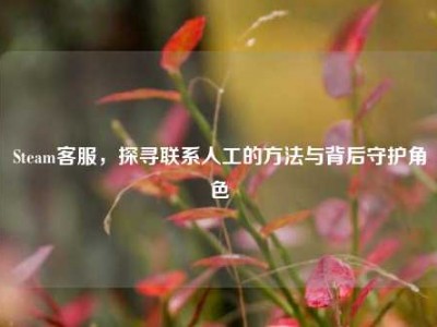Steam客服，探寻联系人工的方法与背后守护角色