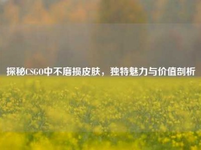 探秘CSGO中不磨损皮肤，独特魅力与价值剖析