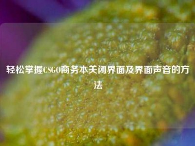 轻松掌握CSGO商务本关闭界面及界面声音的方法