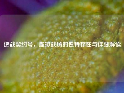 逆战契约号，虚拟战场的独特存在与详细解读