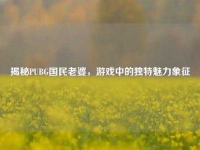 揭秘PUBG国民老婆，游戏中的独特魅力象征