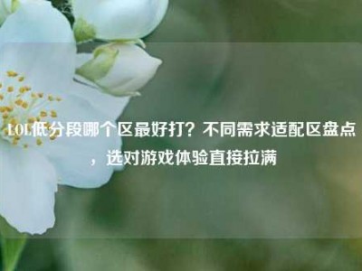 LOL低分段哪个区最好打？不同需求适配区盘点，选对游戏体验直接拉满