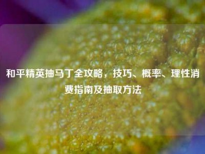 和平精英抽马丁全攻略，技巧、概率、理性消费指南及抽取方法