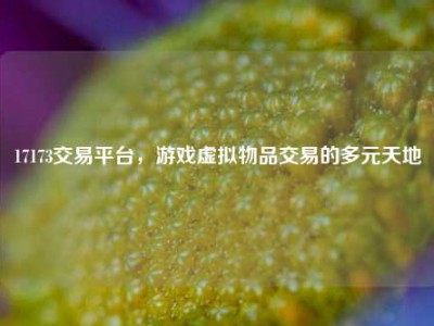 17173交易平台，游戏虚拟物品交易的多元天地