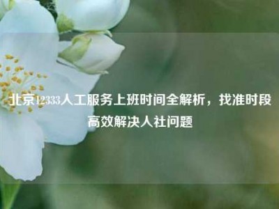 北京12333人工服务上班时间全解析，找准时段高效解决人社问题