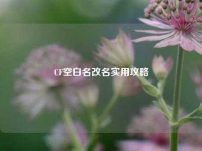 CF空白名改名实用攻略