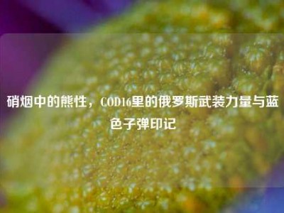 硝烟中的熊性，COD16里的俄罗斯武装力量与蓝色子弹印记