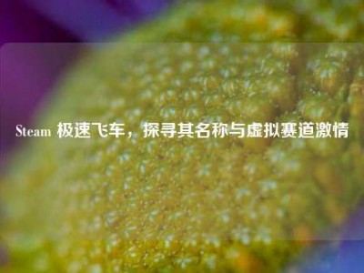 Steam 极速飞车，探寻其名称与虚拟赛道激情