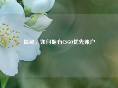 揭秘，如何拥有CSGO优先账户