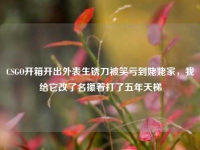 CSGO开箱开出外表生锈刀被笑亏到姥姥家，我给它改了名攥着打了五年天梯