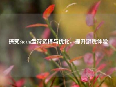 探究Steam盘符选择与优化，提升游戏体验