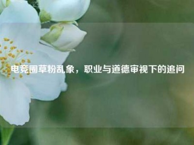 电竞圈草粉乱象，职业与道德审视下的追问