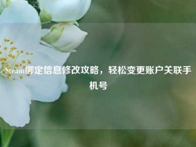 Steam绑定信息修改攻略，轻松变更账户关联手机号