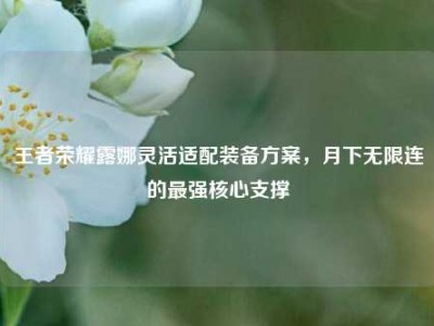 王者荣耀露娜灵活适配装备方案，月下无限连的最强核心支撑