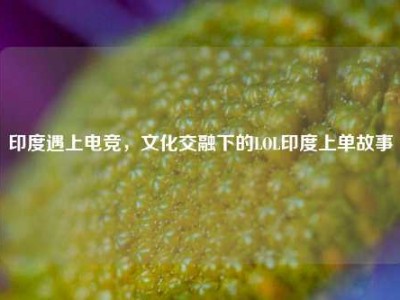 印度遇上电竞，文化交融下的LOL印度上单故事