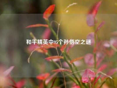 和平精英中95个孙悟空之谜