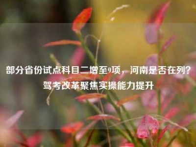 部分省份试点科目二增至9项，河南是否在列？驾考改革聚焦实操能力提升