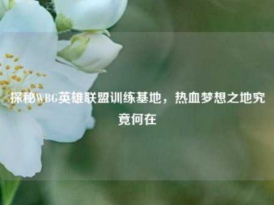 探秘WBG英雄联盟训练基地，热血梦想之地究竟何在