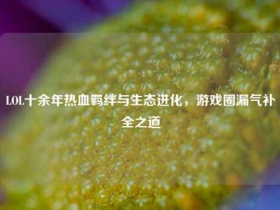 LOL十余年热血羁绊与生态进化，游戏圈漏气补全之道