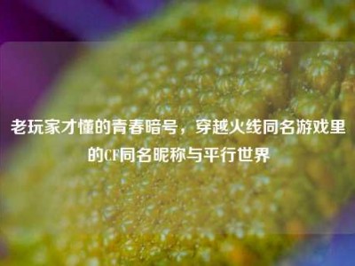 老玩家才懂的青春暗号，穿越火线同名游戏里的CF同名昵称与平行世界