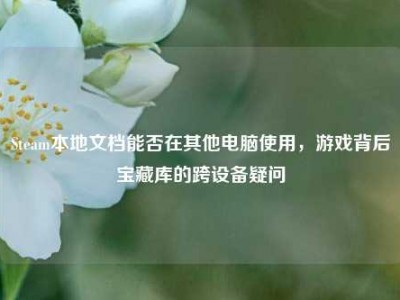 Steam本地文档能否在其他电脑使用，游戏背后宝藏库的跨设备疑问
