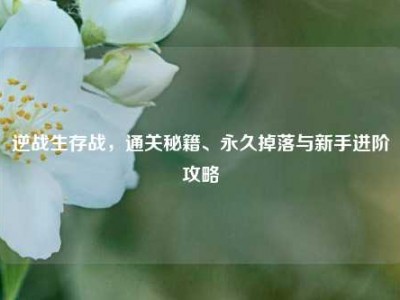 逆战生存战，通关秘籍、永久掉落与新手进阶攻略
